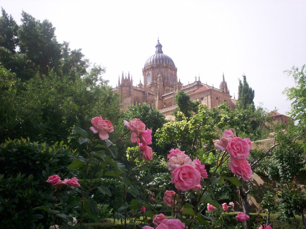 Salamanca's New Cathedral with roses